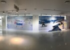 한국관광공사 SKI KOREA 이벤트